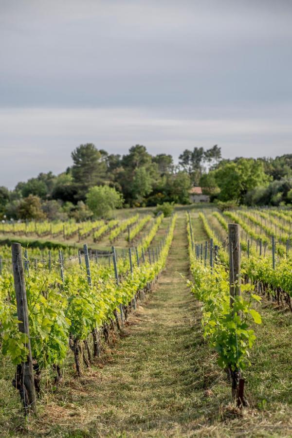 Domaine Rabiega - Vineyard And Boutique 4*
