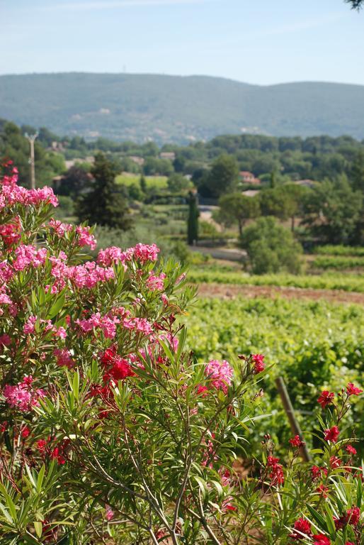 Hotel Domaine Rabiega - Vineyard And Boutique 4*