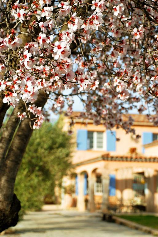 Domaine Rabiega - Vineyard And Boutique 4*