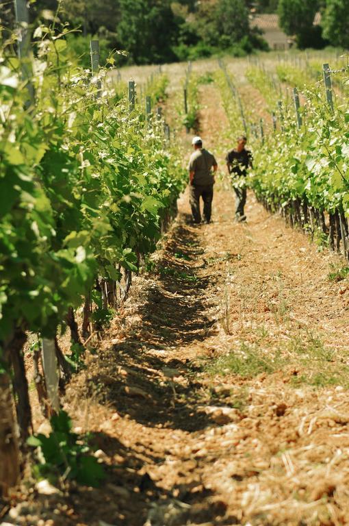 Domaine Rabiega - Vineyard And Boutique 4* Draguignan
